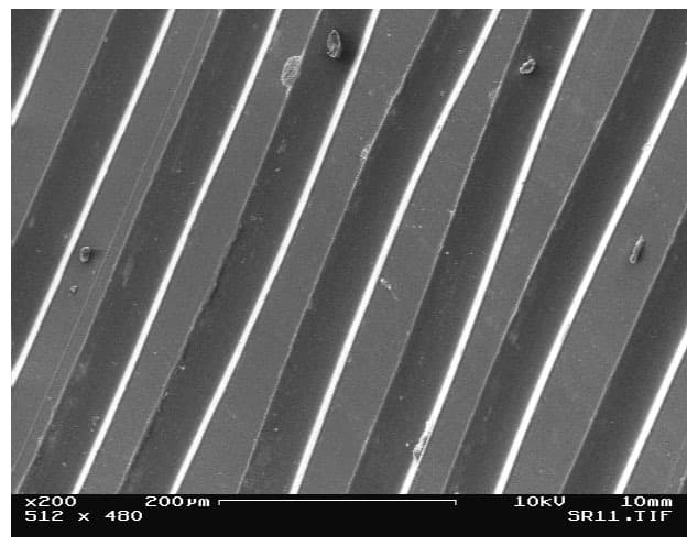 Microsillons au microscope électronique, vus d’en haut en biais, grossissement 200 fois.