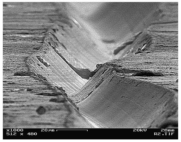 Microsillon au microscope électronique, grossissement 1000 fois.